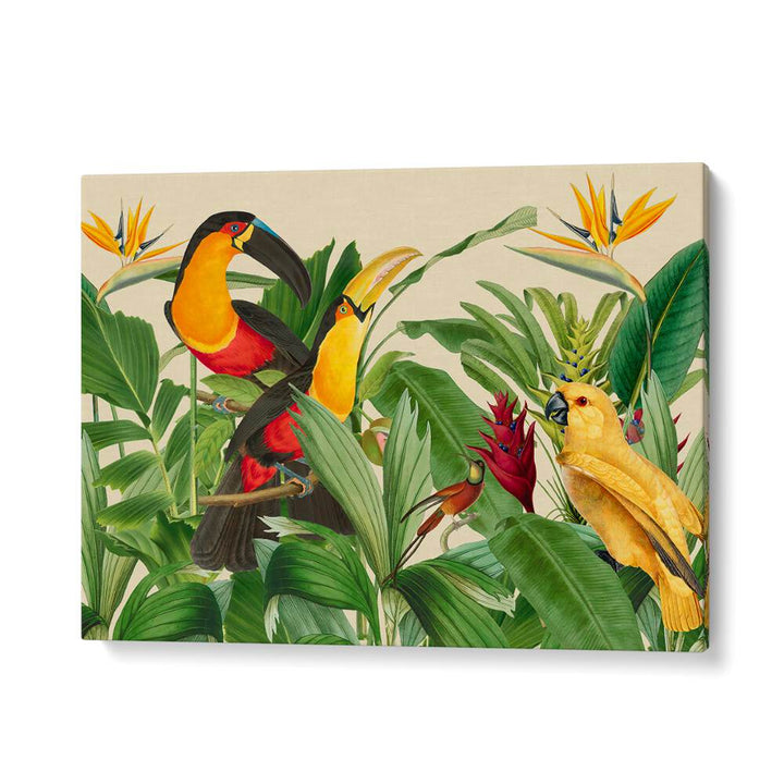 RAIN FOREST BIRD GARDEN BY ANDREA HAASE , WILDLIFE POSTERS, WILDLIFE PAINTINGS