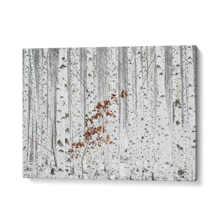 ABSTRACT painting - FROM WHITE by Asianmonk