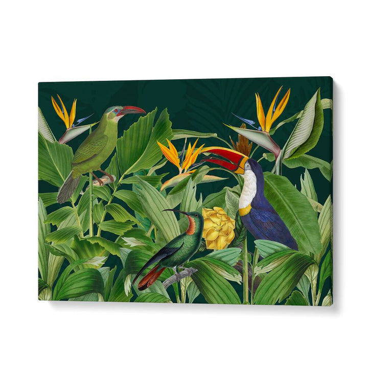 RAINFOREST BIRDS BY ANDREA HAASE , WILDLIFE POSTERS, WILDLIFE PAINTINGS