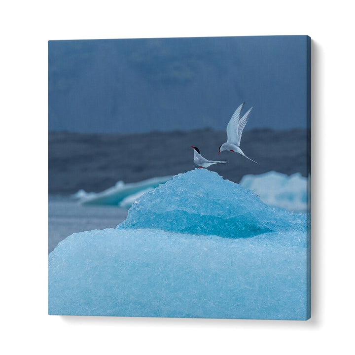 DANCING ON ICE BY MARC PELISSIER , LANDSCAPE PHOTO PRINTS