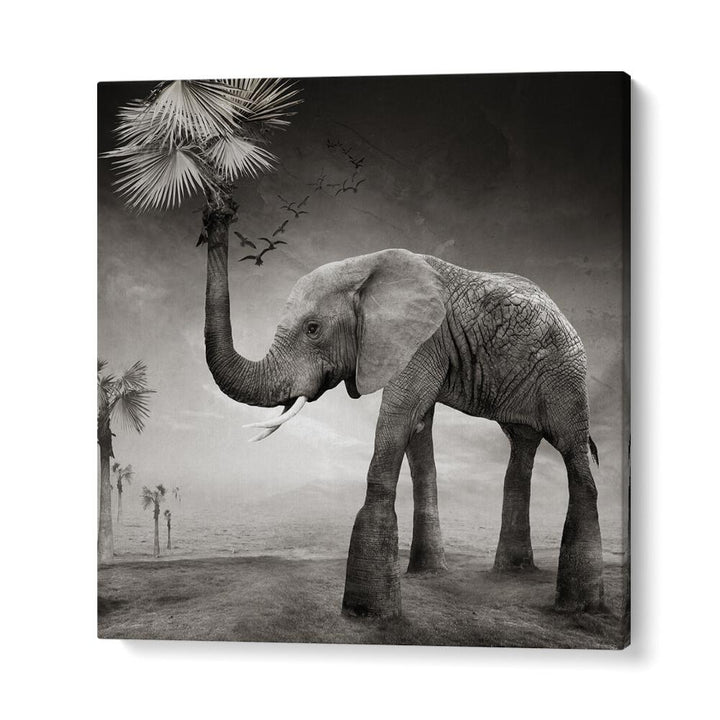 surreal painting - THE STORY OF ELEPHANTS by Asianmonk