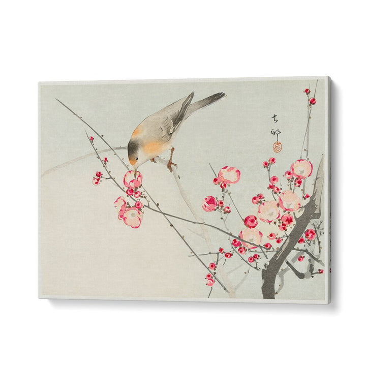 SONGBIRD ON BLOSSOM BRANCH (1900 - 1936)  , JAPANESE PAINTINGS , JAPANESE ART PRINTS