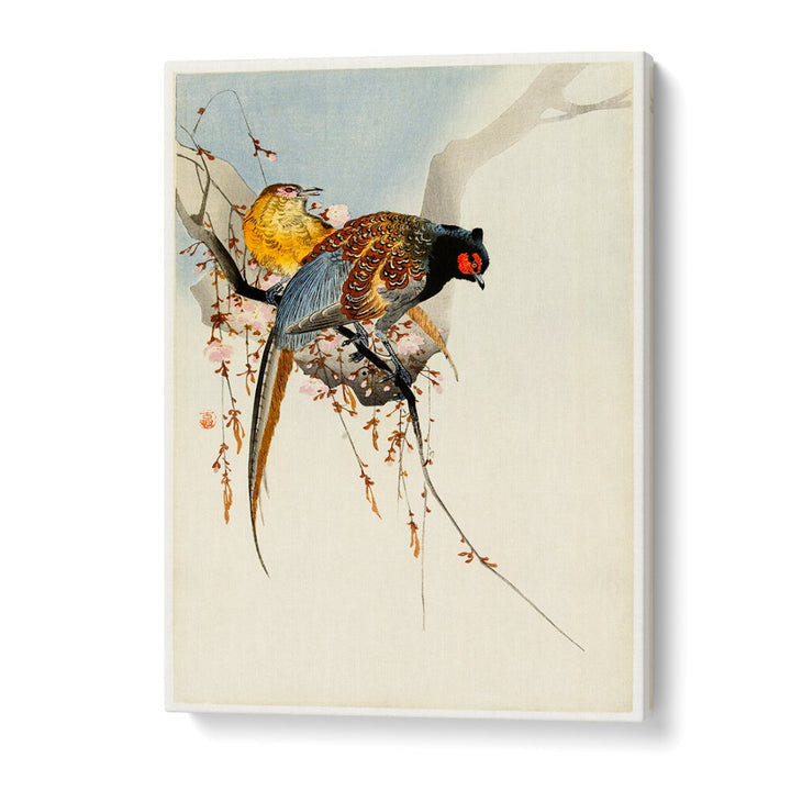 PHEASANT COUPLE AND PLUM BLOSSOM (1900 - 1930)  , JAPANESE PAINTINGS , JAPANESE ART PRINTS