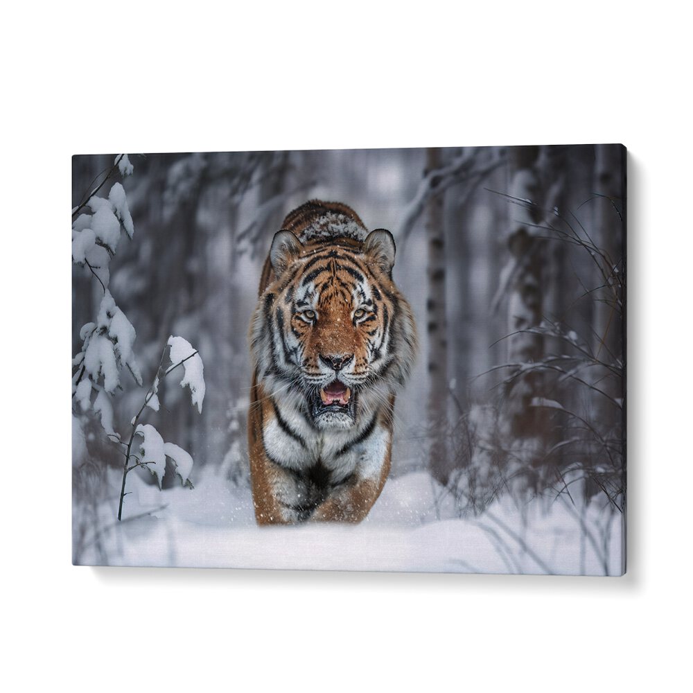 ABSTRACT painting - SNOW TIGER by Asianmonk