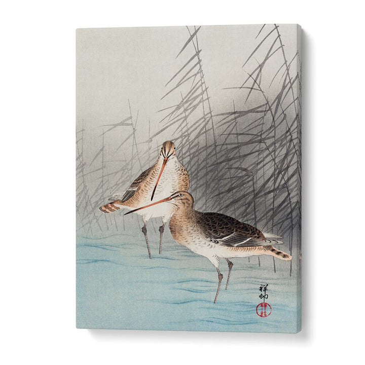 TWO BAR-TAILED GODWITS (1926)  , JAPANESE PAINTINGS , JAPANESE ART PRINTS