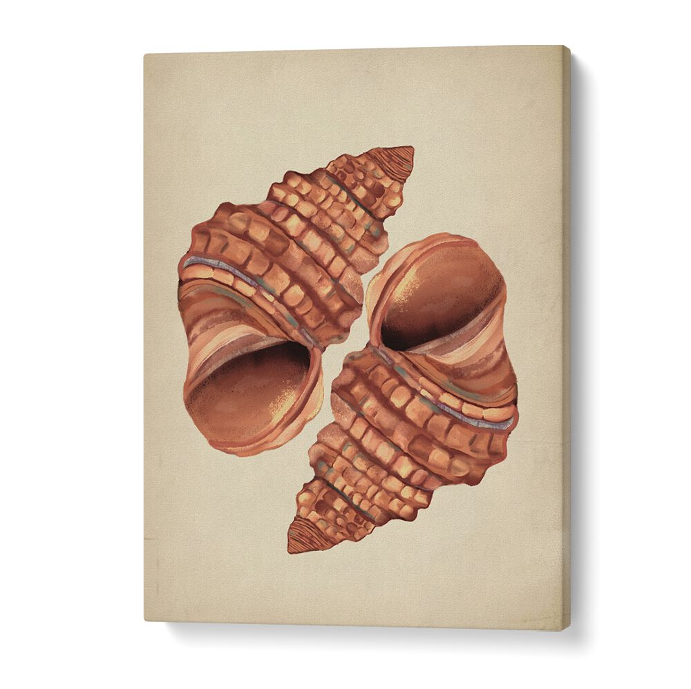 Seashell Vintage, Beach Paintings showcase beautifully detailed shells, adding coastal charm to your décor.
