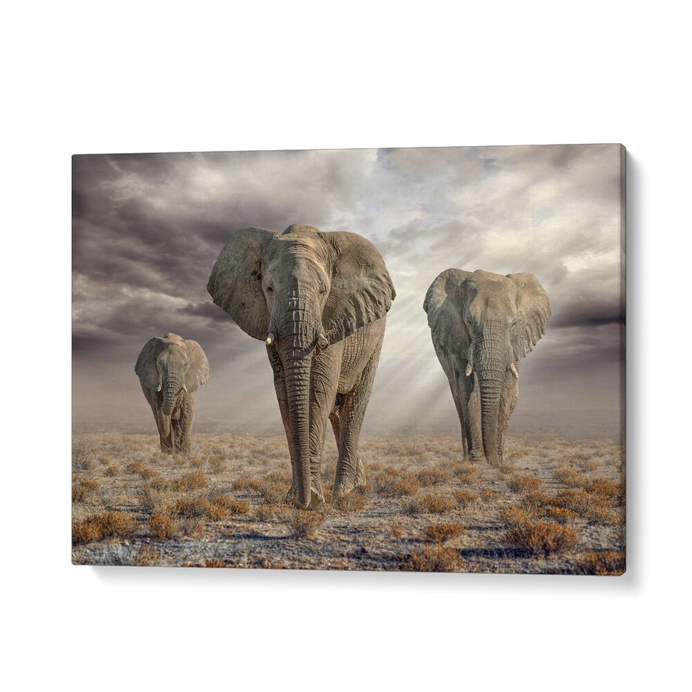 ABSTRACT painting - ETOSHA ELEPHANTS by Asianmonk