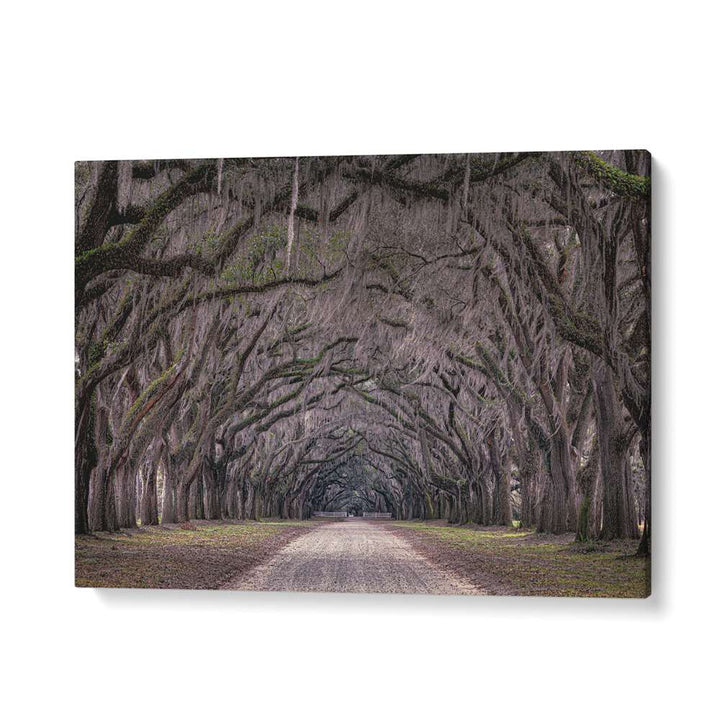 ABSTRACT painting - OAKS AVENUE by Asianmonk