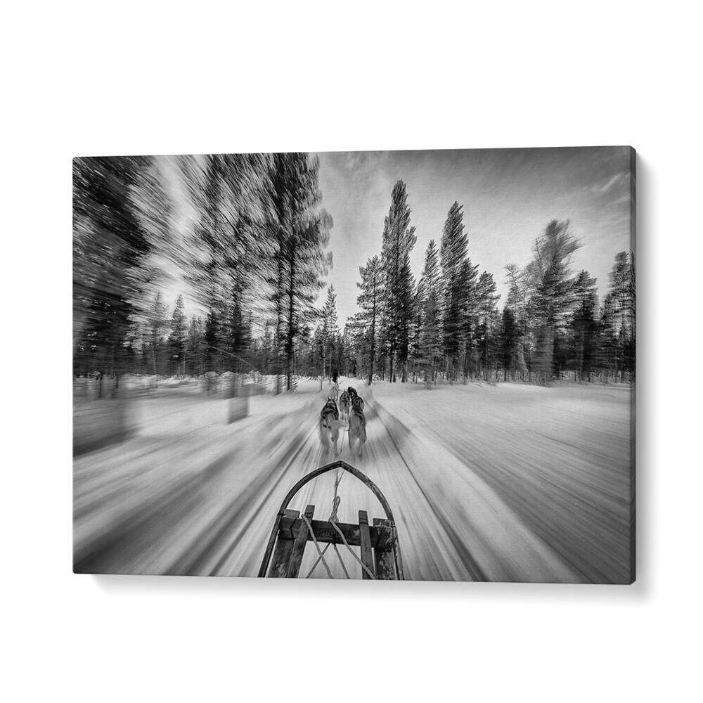 PHOTOGRAPHY painting - DOGSLEDDING BY IDO MEIROVICH by Asianmonk