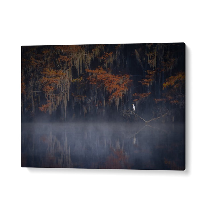 Misty morning landscape with serene fog, perfect for enhancing your space with MISTY MORNING, PHOTOGRAPHY PRINTS.