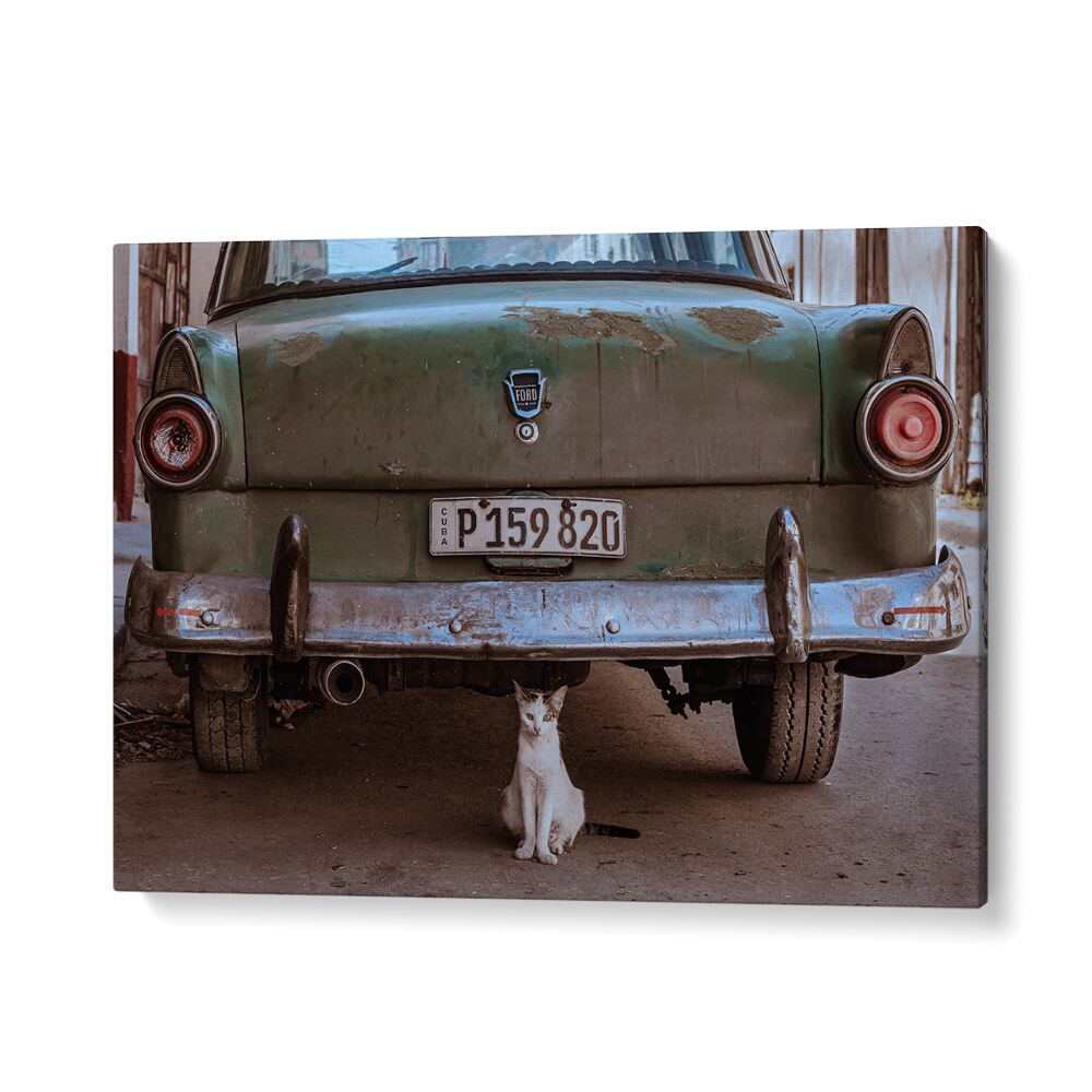 ABSTRACT painting - CUBAN CAT WITH CAR by Asianmonk