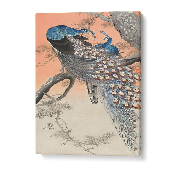 TWO PEACOCKS ON TREE BRANCH (1900 - 1930) , JAPANESE PAINTINGS , JAPANESE ART PRINTS