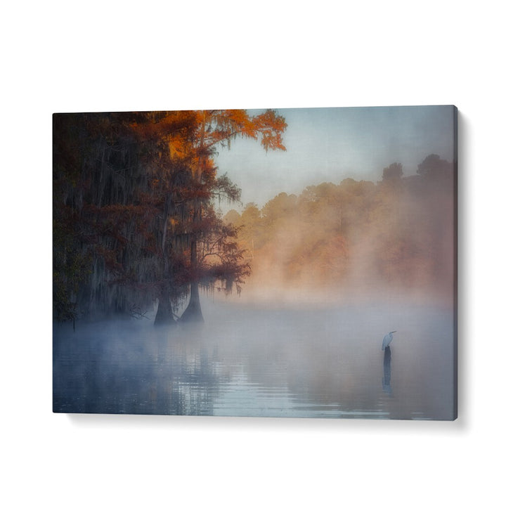 A TRANQUIL MORNING AT CADDO LAKE BY MICHAEL ZHENG , LANDSCAPE PHOTO PRINTS