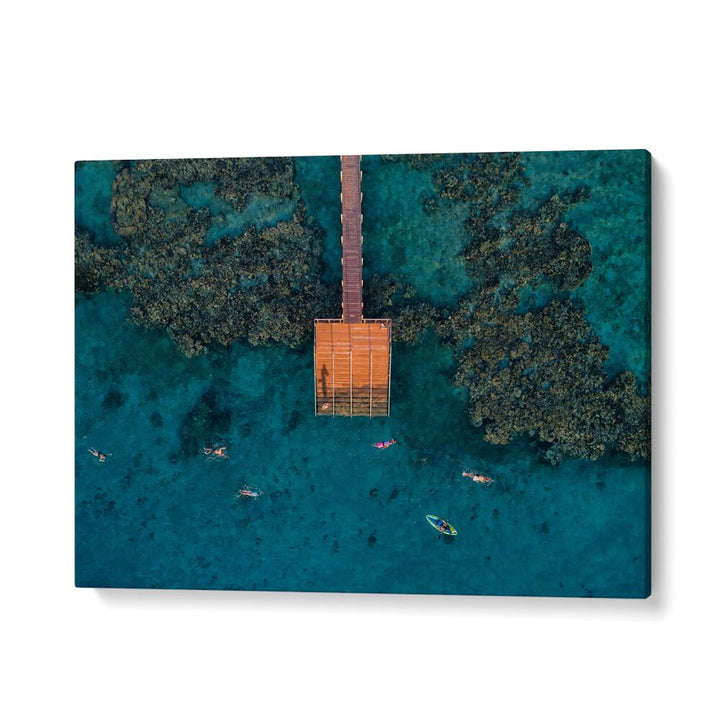 PHOTOGRAPHY painting - CORAL ESCAPE BY IDO MEIROVICH by Asianmonk