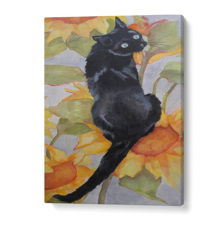 BLACK CAT , ANIMAL PAINTINGS