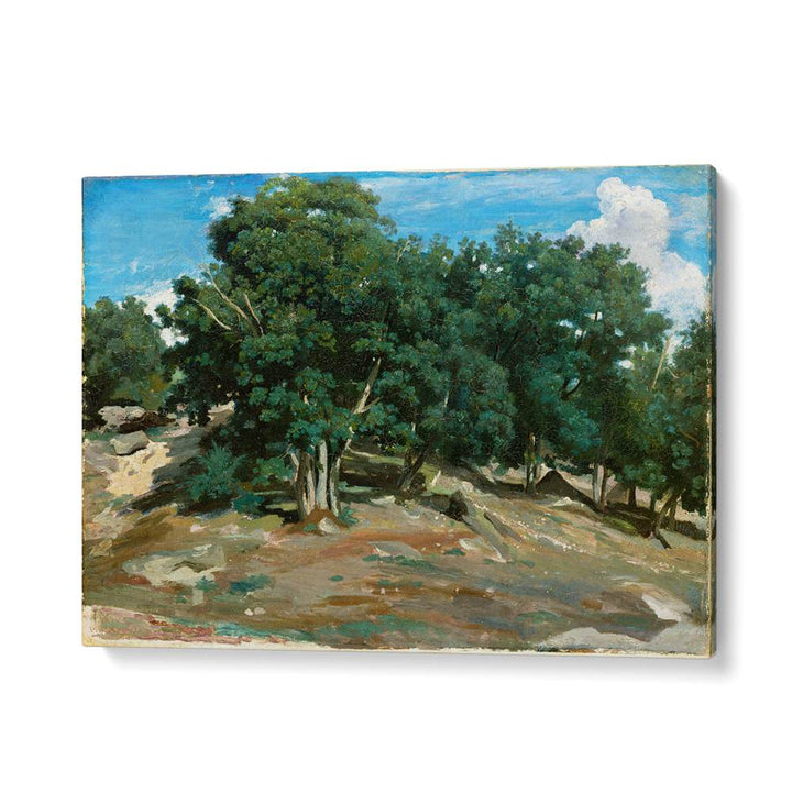 FONTAINEBLEAU OAK TREES AT BAS-BRÉAU (1832 OR 1833) , VINTAGE PAINTINGS