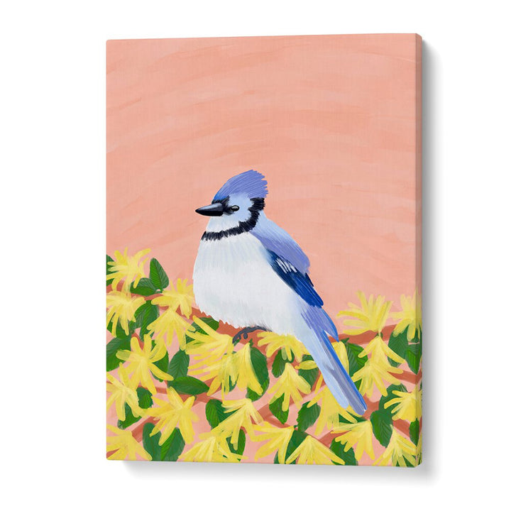 BLUE JAY BIRD , WILDLIFE PAINTINGS , WILDLIFE POSTERS