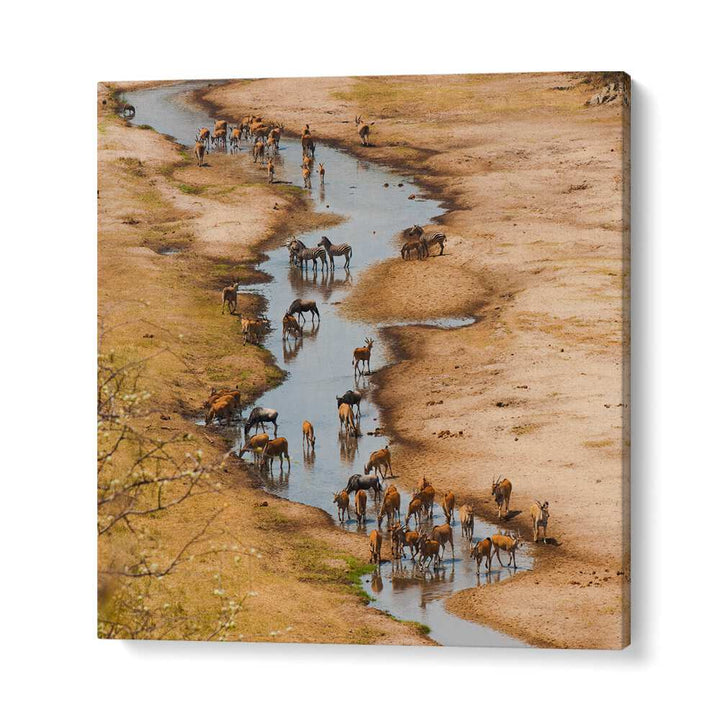 THE TARANGIRE RIVER BY MARC PELISSIER , LANDSCAPE PHOTO PRINTS