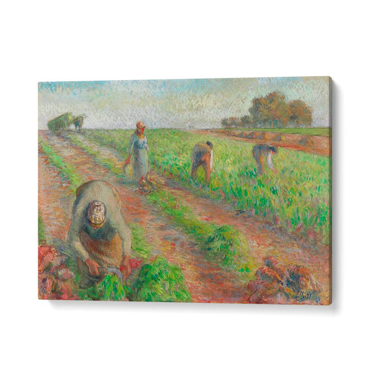 THE BEET HARVEST (1881)  , VINTAGE PAINTINGS