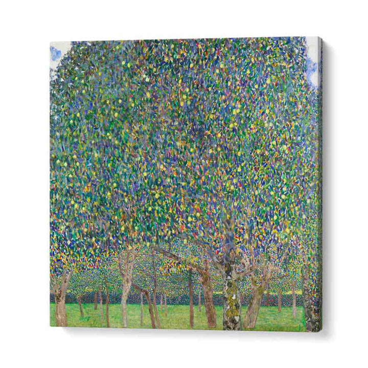 PEAR TREE (1903) , VINTAGE PAINTINGS