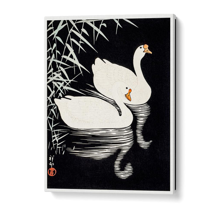 WHITE CHINESE GEESE SWIMMING   , JAPANESE PAINTINGS , JAPANESE ART PRINTS