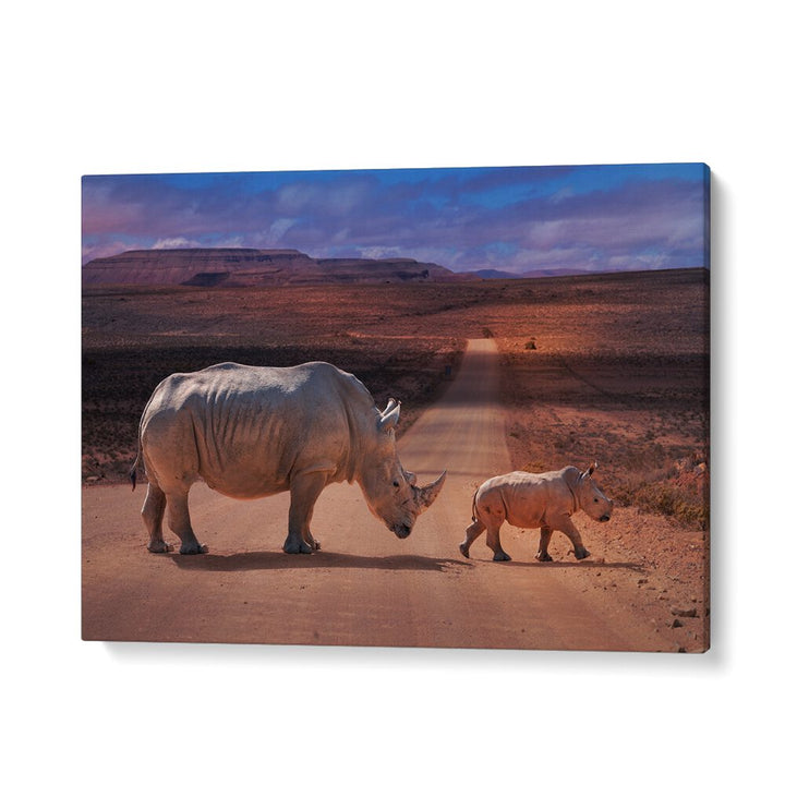Majestic rhinos crossing the road captured in RHINOS CROSSING, PHOTOGRAPHY PRINTS for wildlife lovers.