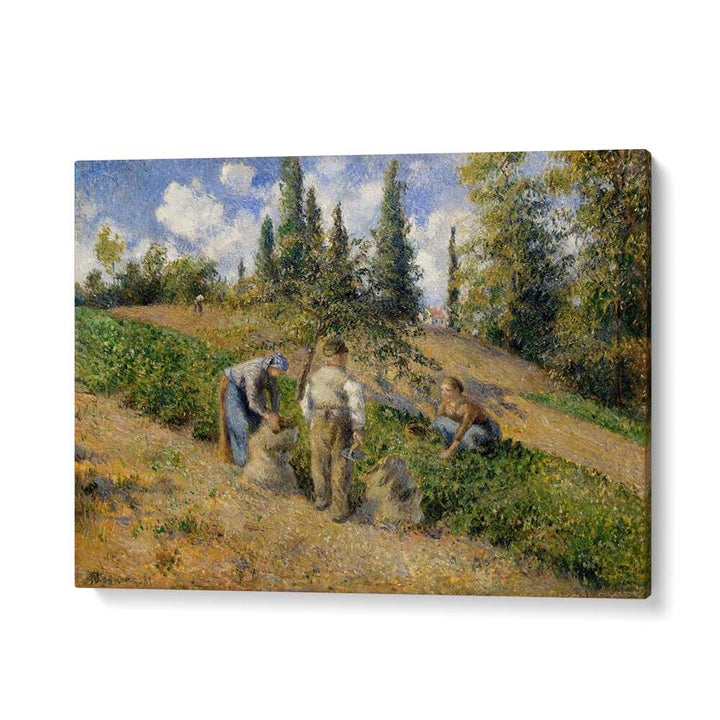 THE HARVEST, PONTOISE (1881) , VINTAGE PAINTINGS