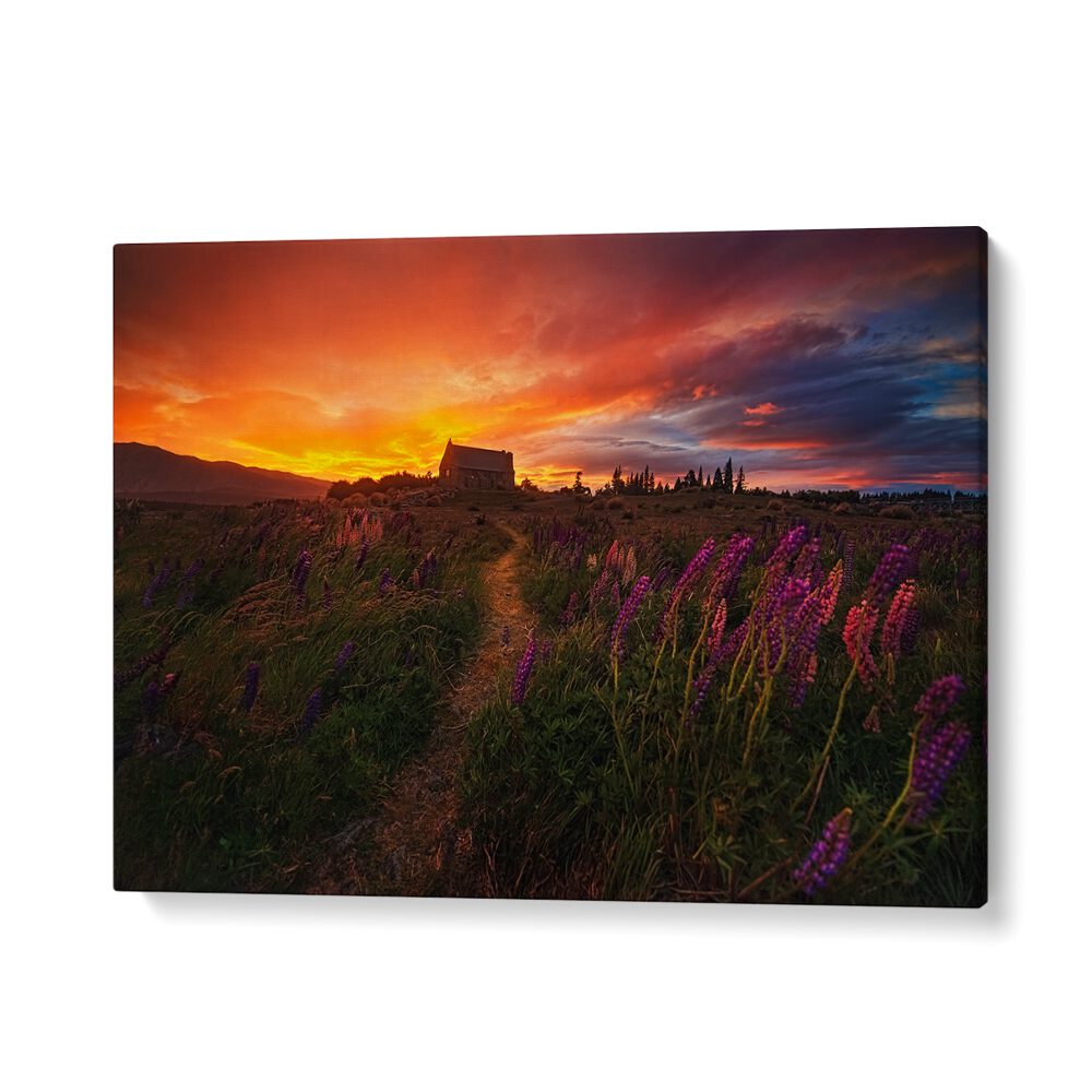 Stunning IN THE WIND, PHOTOGRAPHY PRINTS showcasing a vibrant sunset over a field, perfect for nature lovers.