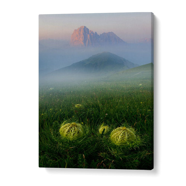 PROTECTION OF THE ALPS , LANDSCAPE PHOTO PRINTS