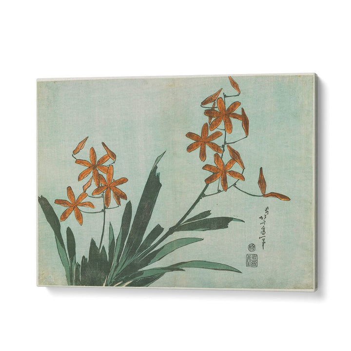 BLACKBERRY LILY (CA.1833–1834)  BY KATSUSHIKA HOKUSAI, JAPANESE PAINTINGS