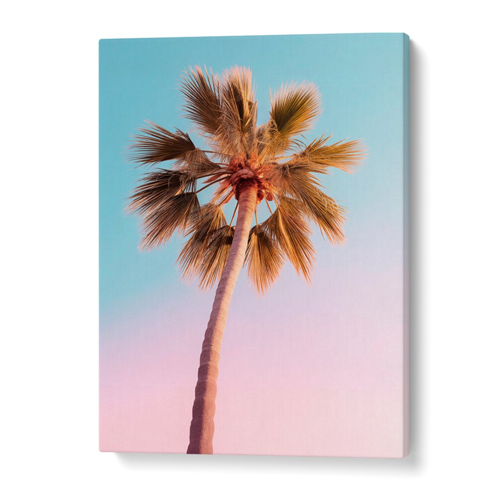 Vibrant palm tree against a pastel sky in THE PASTEL PALM, BEACH PAINTINGS by Philippe Hugonnard for home decor.