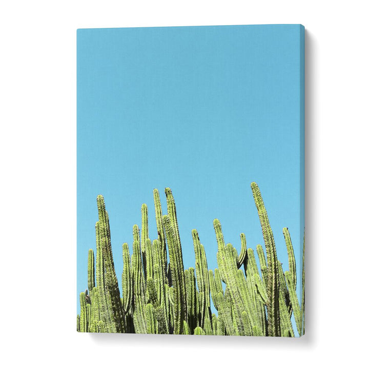 surreal painting - CACTUS REACHING FOR THE SKY by Asianmonk