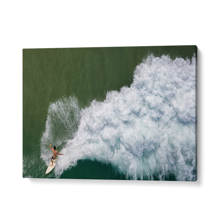 PHOTOGRAPHY painting - SURFING ROOSTER BY IDO MEIROVICH by Asianmonk