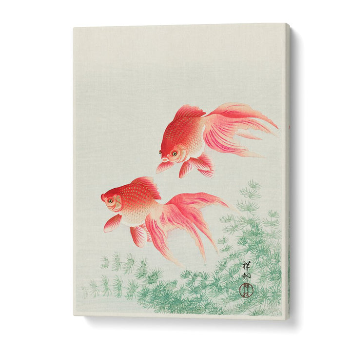 TWO VEIL GOLDFISH (1926)  , JAPANESE PAINTINGS , JAPANESE ART PRINTS