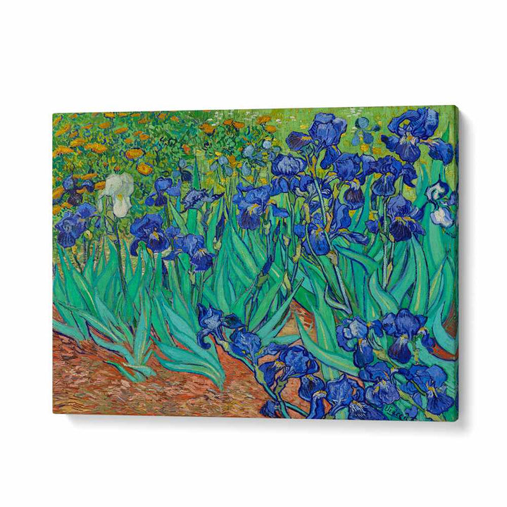 VINCENT VAN GOGH'S IRISES (1889) , VINTAGE PAINTINGS