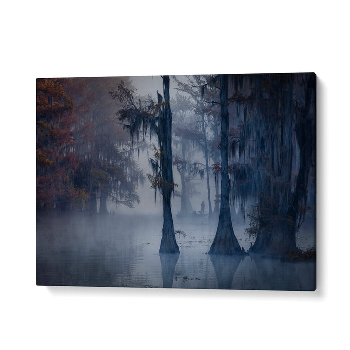 HAUNTED FOREST BY MICHAEL ZHENG , LANDSCAPE PHOTO PRINTS