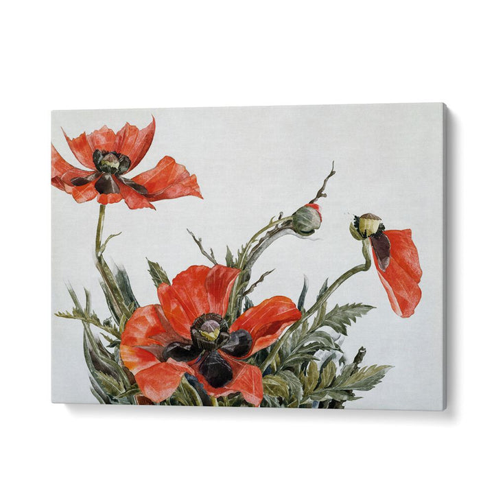 RED POPPIES (1929)  , VINTAGE PAINTINGS