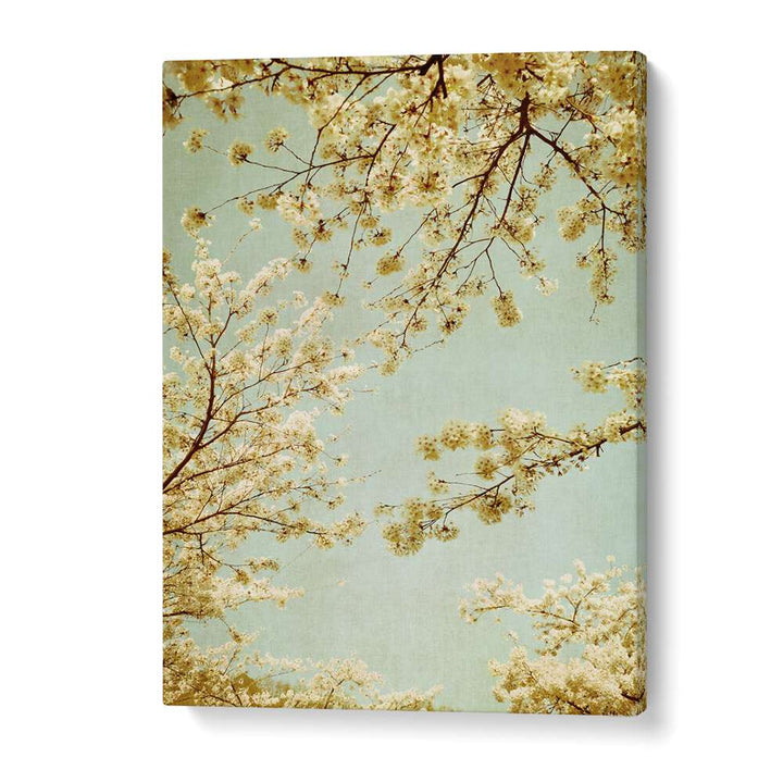 Delicate cherry blossoms against a vintage sky in the VINTAGE SKY, FLORAL FLOWER PAINTINGS collection.