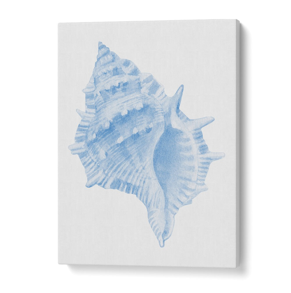 Stunning ONE BLUE CONCH, BEACH PAINTINGS capturing ocean beauty; perfect for coastal-themed decor in your home.