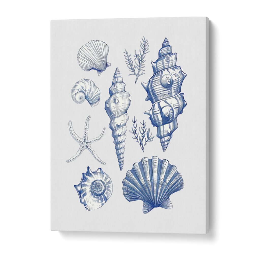 Stunning SHELL COLLAGE, BEACH PAINTINGS showcasing seashells, perfect for coastal decor in any living space.