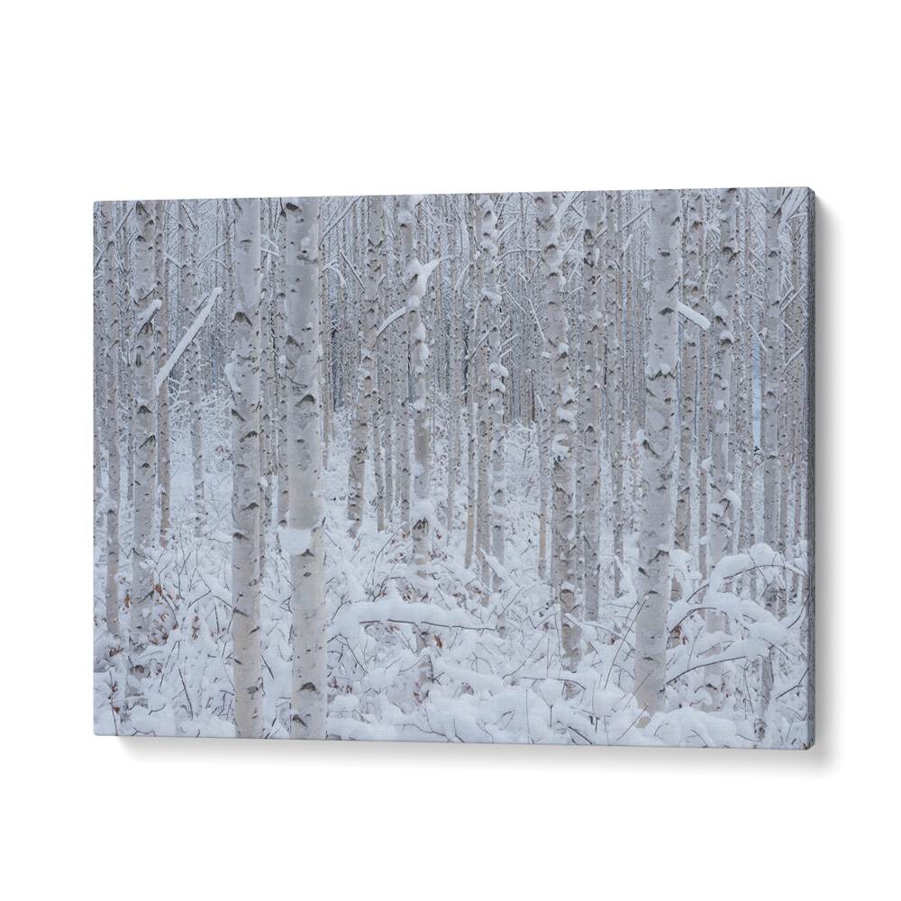 ABSTRACT painting - WHITE II by Asianmonk