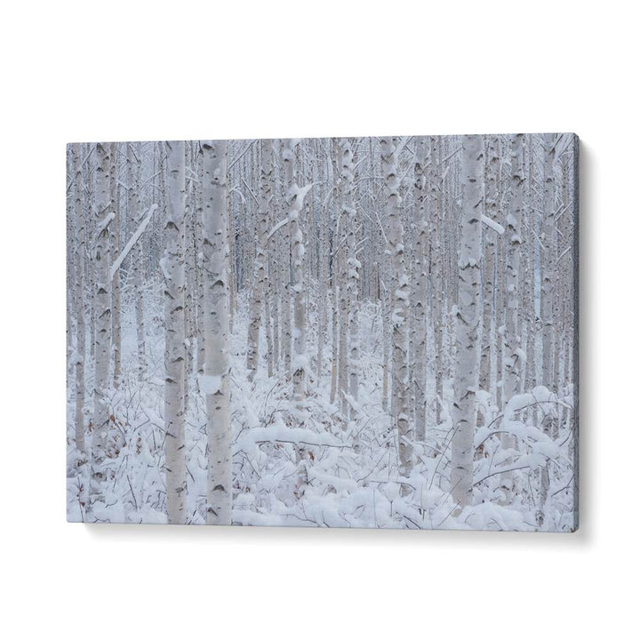 ABSTRACT painting - WHITE II by Asianmonk