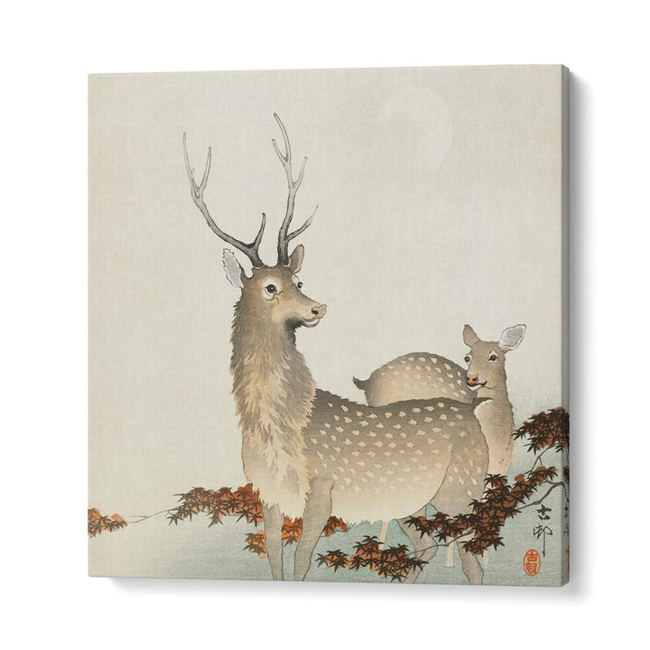 COUPLE OF DEERS (1900 - 1930)  , JAPANESE PAINTINGS , JAPANESE ART PRINTS