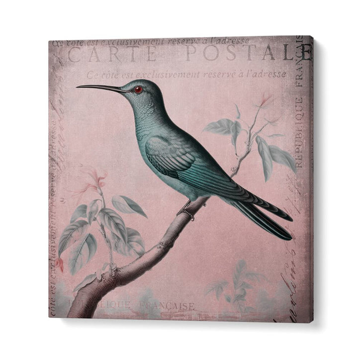 HUMMINGBIRD ROMANCE PASTEL PINK II BY ANDREA HAASE , WILDLIFE POSTERS, WILDLIFE PAINTINGS