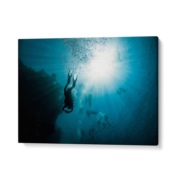 PHOTOGRAPHY painting - UNDERWATER PARTY BY IDO MEIROVICH by Asianmonk