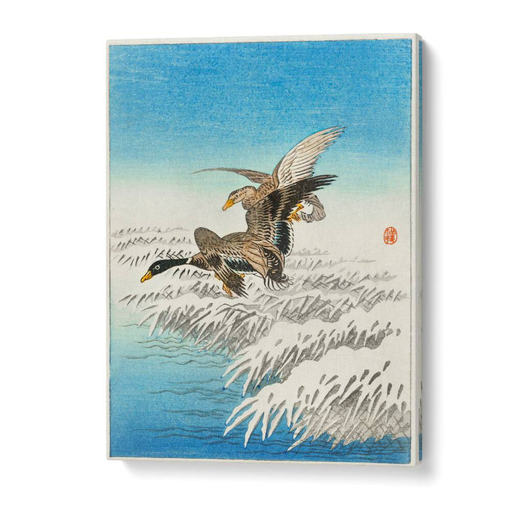 PAIR OF DUCKS FLYING OVER SNOWY REED COLLAR (1900 - 1945) , JAPANESE PAINTINGS , JAPANESE ART PRINTS