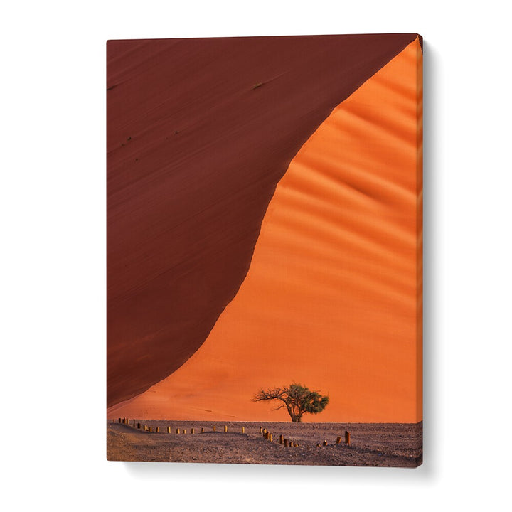 Stunning DUNE 45 photography prints showcasing vibrant orange dunes and serene desert landscapes. Perfect for any decor.