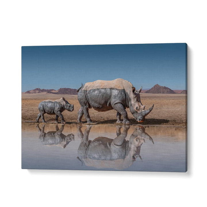 Stunning RHINOS WALK, PHOTOGRAPHY PRINTS showcasing a mother and calf rhino at a serene waterhole in nature.