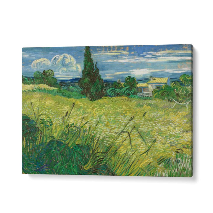 VINCENT VAN GOGH - GREEN FIELD,  VINTAGE PAINTINGS