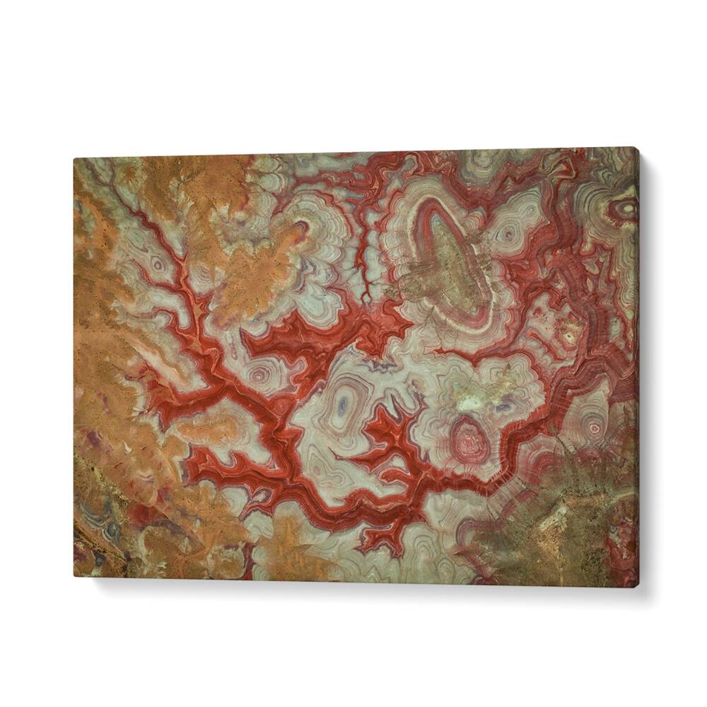 Stunning RED DRAGON OF THE BADLANDS, PHOTOGRAPHY PRINTS showcasing nature's raw beauty and untamed spirit.